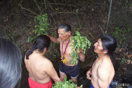 Photo Inti-Raymi Fest Cotacachi Provinz Imbabura