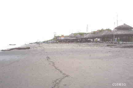 Pedernales - Province Manabi