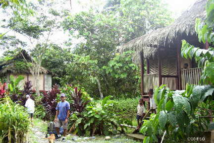 Las cabañas en Playa de Oro The cabins in Playa de Oro