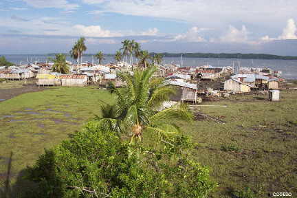 Vista a Pampanal desde la torre de agua